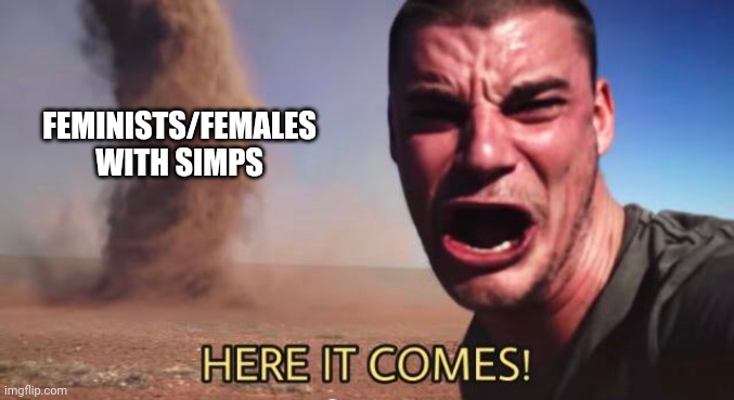 HERE IT COMES! | FEMINISTS/FEMALES WITH SIMPS | image tagged in here it comes | made w/ Imgflip meme maker