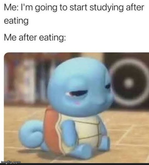 image tagged in memes,studying,eating | made w/ Imgflip meme maker