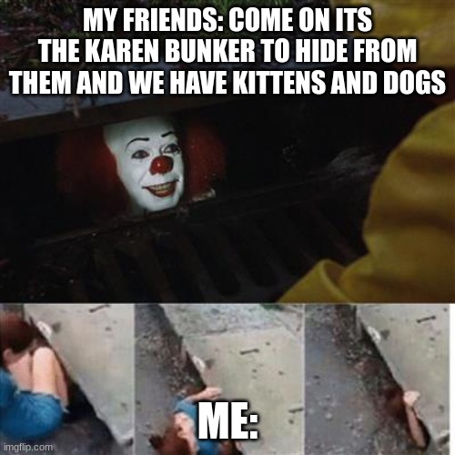 karen bunker | MY FRIENDS: COME ON ITS THE KAREN BUNKER TO HIDE FROM THEM AND WE HAVE KITTENS AND DOGS; ME: | image tagged in pennywise in sewer | made w/ Imgflip meme maker