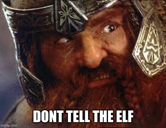 DONT TELL THE ELF | image tagged in you have my gimli | made w/ Imgflip meme maker
