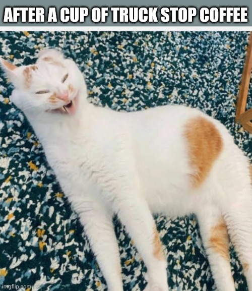 AFTER A CUP OF TRUCK STOP COFFEE | image tagged in funny memes | made w/ Imgflip meme maker