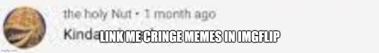 Kinda cringe bro | LINK ME CRINGE MEMES IN IMGFLIP | image tagged in kinda cringe bro | made w/ Imgflip meme maker