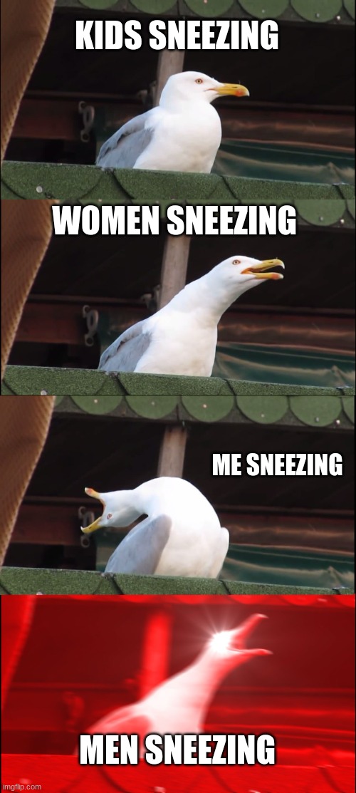 Inhaling Seagull | KIDS SNEEZING; WOMEN SNEEZING; ME SNEEZING; MEN SNEEZING | image tagged in memes,inhaling seagull | made w/ Imgflip meme maker