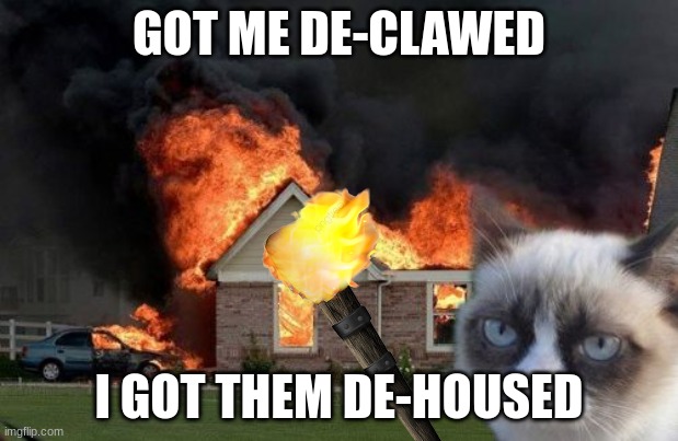 Burn Kitty Meme | GOT ME DE-CLAWED; I GOT THEM DE-HOUSED | image tagged in memes,burn kitty,grumpy cat | made w/ Imgflip meme maker
