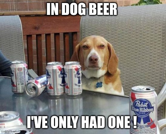 dog beer | IN DOG BEER; I'VE ONLY HAD ONE ! | image tagged in dog beer | made w/ Imgflip meme maker