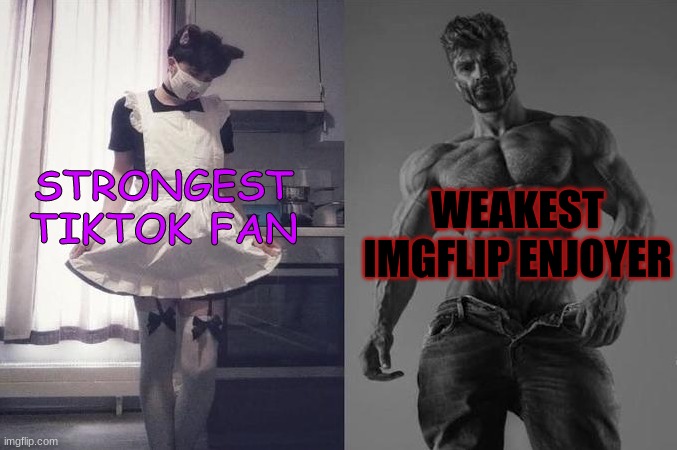 Strongest Fan VS Weakest Fan | STRONGEST TIKTOK FAN; WEAKEST IMGFLIP ENJOYER | image tagged in strongest fan vs weakest fan | made w/ Imgflip meme maker