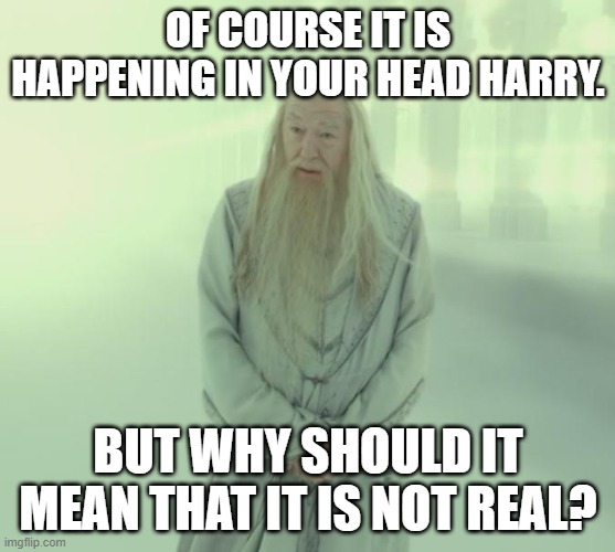 Dumbledore's Spirit | OF COURSE IT IS HAPPENING IN YOUR HEAD HARRY. BUT WHY SHOULD IT MEAN THAT IT IS NOT REAL? | image tagged in dumbledore's spirit | made w/ Imgflip meme maker