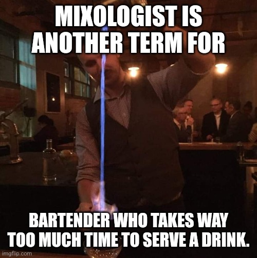 Bartender vs. Mixologist in making cocktails | MIXOLOGIST IS ANOTHER TERM FOR; BARTENDER WHO TAKES WAY TOO MUCH TIME TO SERVE A DRINK. | image tagged in fancy mixologist bartender burning sh t | made w/ Imgflip meme maker