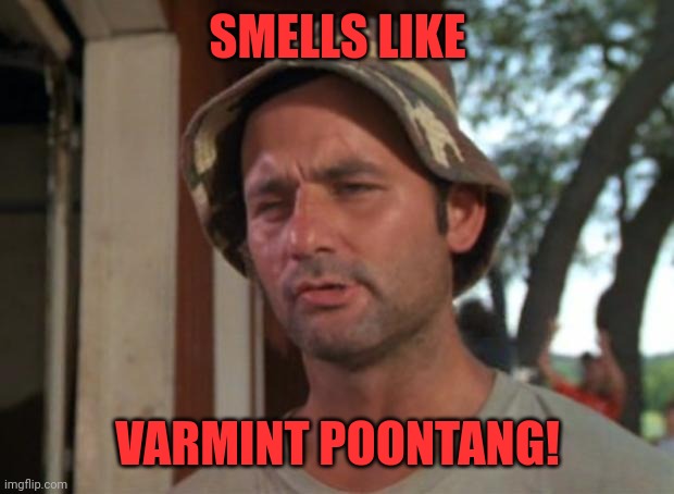 So I Got That Goin For Me Which Is Nice Meme | SMELLS LIKE VARMINT POONTANG! | image tagged in memes,so i got that goin for me which is nice | made w/ Imgflip meme maker