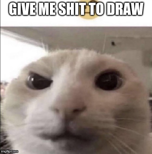 yes |  GIVE ME SHIT TO DRAW | made w/ Imgflip meme maker