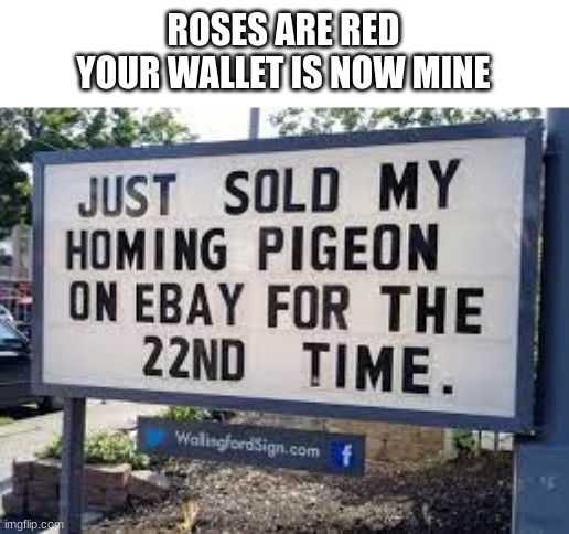 Do you get it? | ROSES ARE RED
YOUR WALLET IS NOW MINE | image tagged in homing pigeon,roses are red,memes,gif,not actually a gif,why did i say that | made w/ Imgflip meme maker