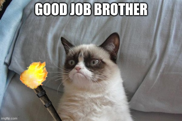 Grumpy Cat Bed Meme | GOOD JOB BROTHER | image tagged in memes,grumpy cat bed,grumpy cat | made w/ Imgflip meme maker