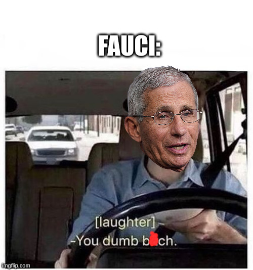 You dumb bitch | FAUCI: | image tagged in you dumb bitch | made w/ Imgflip meme maker