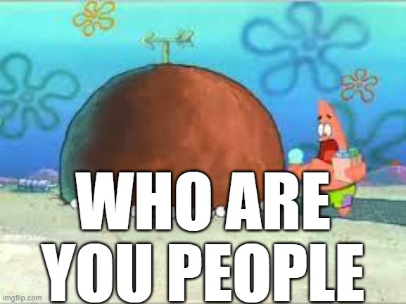 WHO ARE YOU PEOPLE? | WHO ARE YOU PEOPLE | image tagged in who are you people | made w/ Imgflip meme maker