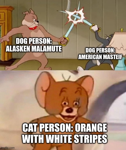Tom and Jerry swordfight | DOG PERSON: ALASKEN MALAMUTE; DOG PERSON: AMERICAN MASTEIF; CAT PERSON: ORANGE WITH WHITE STRIPES | image tagged in tom and jerry swordfight | made w/ Imgflip meme maker