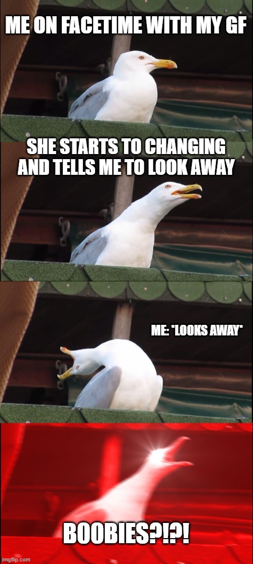 Inhaling Seagull Meme | ME ON FACETIME WITH MY GF; SHE STARTS TO CHANGING AND TELLS ME TO LOOK AWAY; ME: *LOOKS AWAY*; B00BIES?!?! | image tagged in memes,inhaling seagull,gf,changing,funny,featured | made w/ Imgflip meme maker