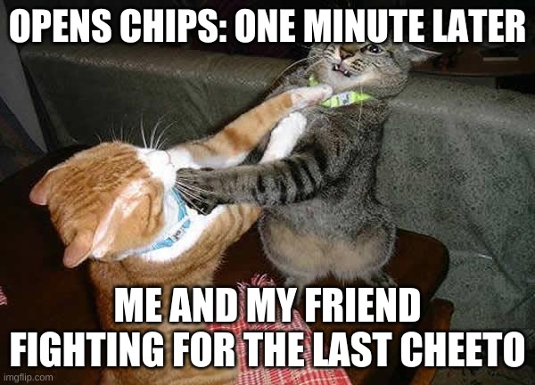 Two cats fighting for real | OPENS CHIPS: ONE MINUTE LATER; ME AND MY FRIEND FIGHTING FOR THE LAST CHEETO | image tagged in two cats fighting for real | made w/ Imgflip meme maker