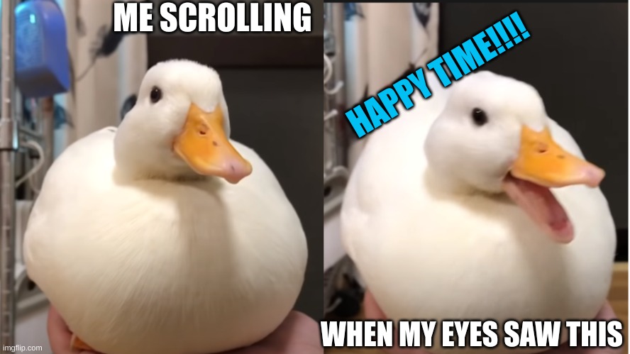 Duck happy | ME SCROLLING WHEN MY EYES SAW THIS HAPPY TIME!!!! | image tagged in duck happy | made w/ Imgflip meme maker