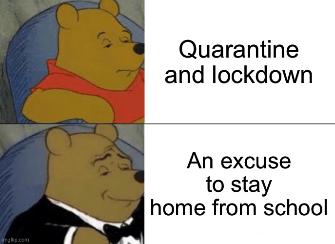 Me wanting to watch a lot of TV shows: | Quarantine and lockdown; An excuse to stay home from school | image tagged in memes,tuxedo winnie the pooh | made w/ Imgflip meme maker