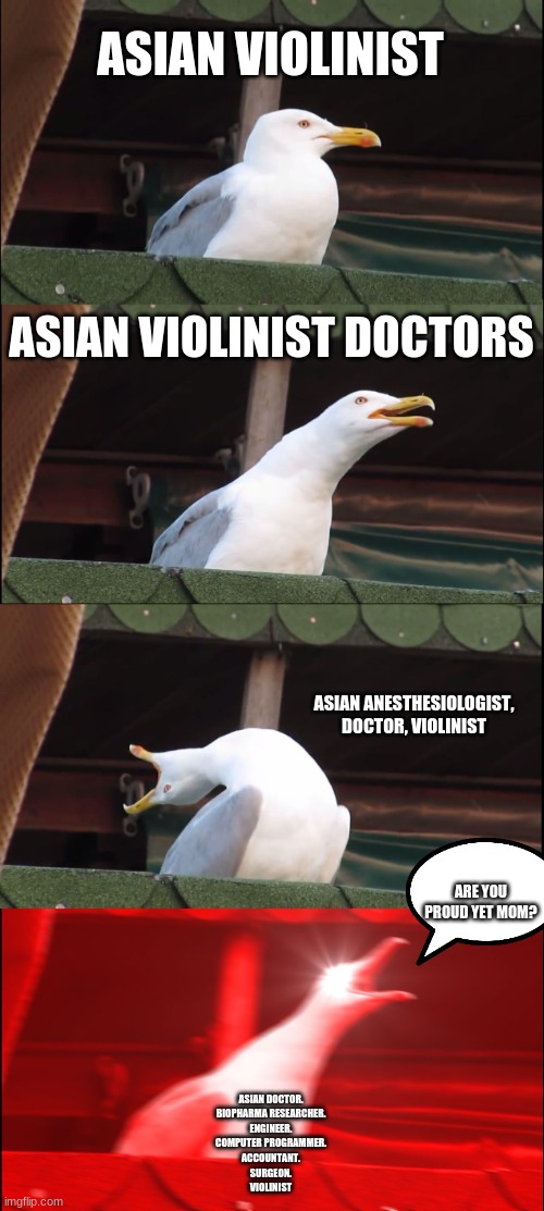 Inhaling Seagull | ASIAN VIOLINIST; ASIAN VIOLINIST DOCTORS; ASIAN ANESTHESIOLOGIST, DOCTOR, VIOLINIST; ARE YOU PROUD YET MOM? ASIAN DOCTOR.
BIOPHARMA RESEARCHER.
ENGINEER.
COMPUTER PROGRAMMER.
ACCOUNTANT.
SURGEON.
VIOLINIST | image tagged in memes,inhaling seagull | made w/ Imgflip meme maker