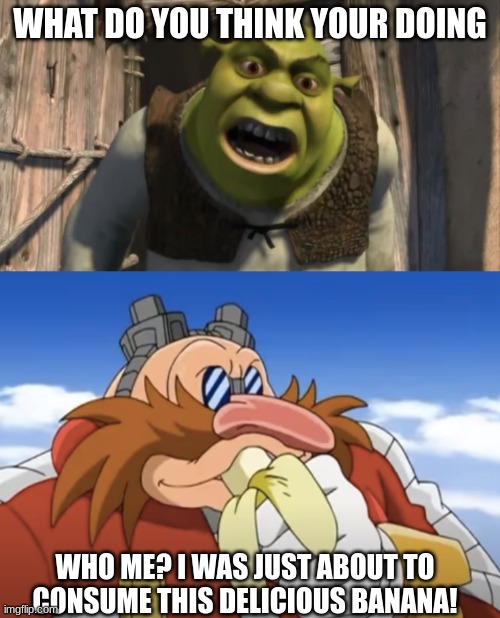 The best excuse of all time | WHAT DO YOU THINK YOUR DOING; WHO ME? I WAS JUST ABOUT TO CONSUME THIS DELICIOUS BANANA! | image tagged in shrek what are you doing in my swamp,i was just about to consume this delicious banana | made w/ Imgflip meme maker