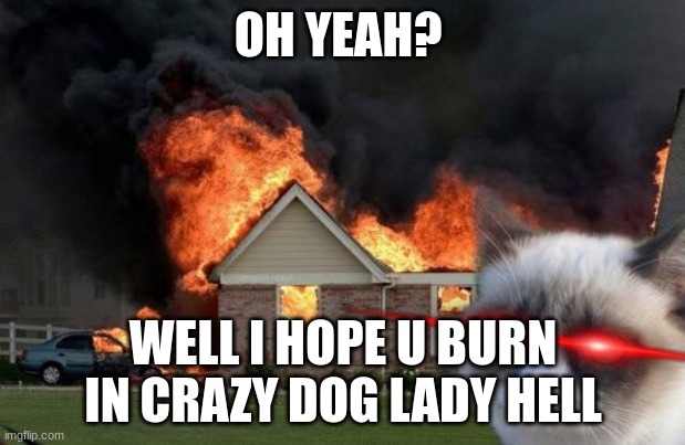 Burn Kitty Meme | OH YEAH? WELL I HOPE U BURN IN CRAZY DOG LADY HELL | image tagged in memes,burn kitty,grumpy cat | made w/ Imgflip meme maker