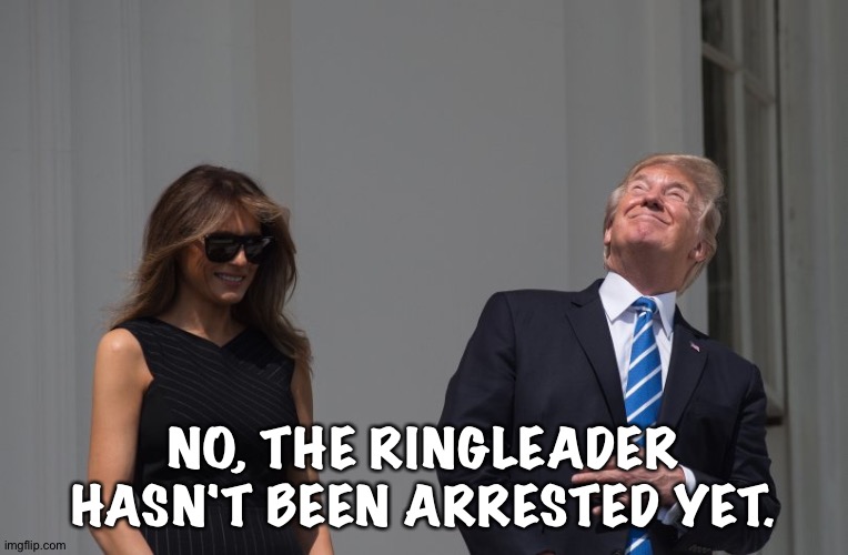 Stupid Trump Staring Eclipse | NO, THE RINGLEADER HASN'T BEEN ARRESTED YET. | image tagged in stupid trump staring eclipse | made w/ Imgflip meme maker