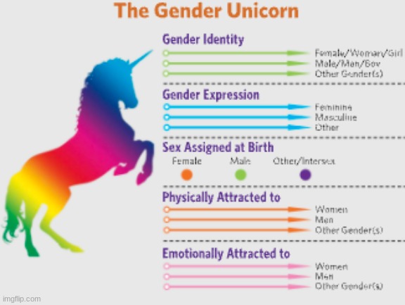 The Gender Unicorn | image tagged in love is love,gay unicorn,gender | made w/ Imgflip meme maker