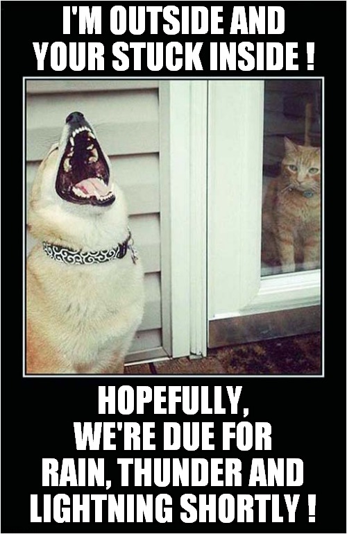 Dog Laughing At Cat ! | I'M OUTSIDE AND YOUR STUCK INSIDE ! HOPEFULLY, WE'RE DUE FOR RAIN, THUNDER AND LIGHTNING SHORTLY ! | image tagged in dogs,cats,outside,inside,bad weather | made w/ Imgflip meme maker
