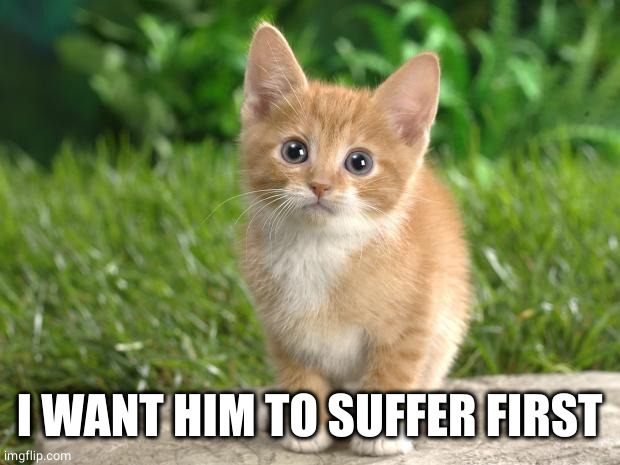 Cute cats | I WANT HIM TO SUFFER FIRST | image tagged in cute cats | made w/ Imgflip meme maker