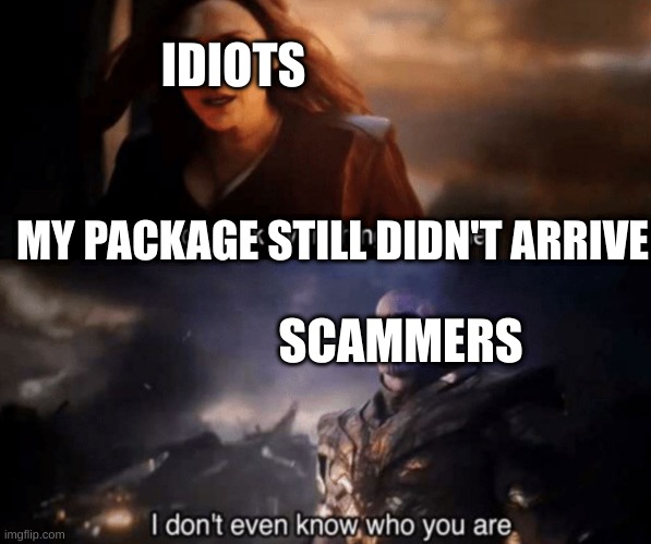 Scammers after you message them be like |  IDIOTS; MY PACKAGE STILL DIDN'T ARRIVE; SCAMMERS | image tagged in you took everything from me - i don't even know who you are | made w/ Imgflip meme maker