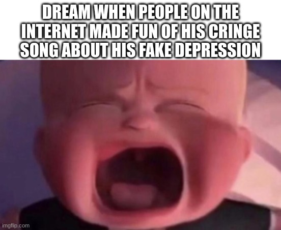bout to start a war | DREAM WHEN PEOPLE ON THE INTERNET MADE FUN OF HIS CRINGE SONG ABOUT HIS FAKE DEPRESSION | image tagged in boss baby crying | made w/ Imgflip meme maker