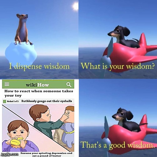 Wisdom dog | image tagged in wisdom dog | made w/ Imgflip meme maker