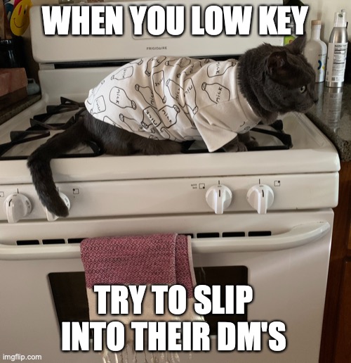 low key cat | WHEN YOU LOW KEY; TRY TO SLIP INTO THEIR DM'S | image tagged in memes,cat | made w/ Imgflip meme maker