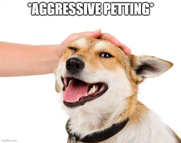 Petting a Dog | *AGGRESSIVE PETTING* | image tagged in petting a dog | made w/ Imgflip meme maker