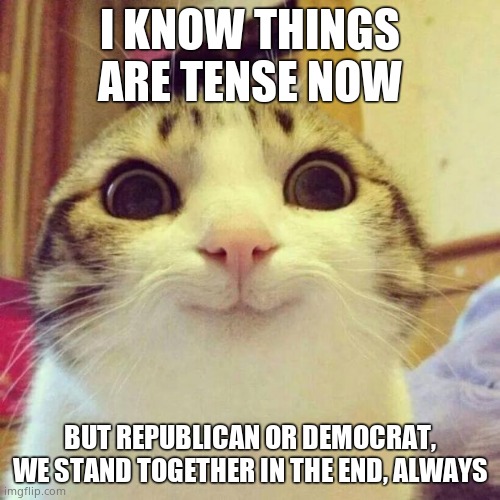Stay positive and be kind! | I KNOW THINGS ARE TENSE NOW; BUT REPUBLICAN OR DEMOCRAT, WE STAND TOGETHER IN THE END, ALWAYS | image tagged in memes,smiling cat,smiles | made w/ Imgflip meme maker