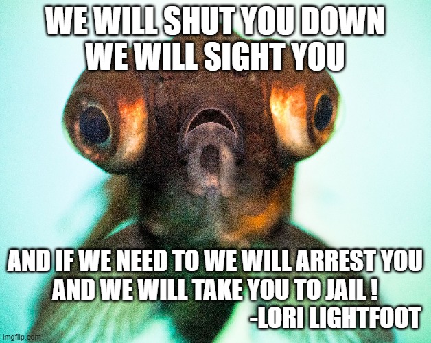 WE WILL SHUT YOU DOWN
WE WILL SIGHT YOU; AND IF WE NEED TO WE WILL ARREST YOU
AND WE WILL TAKE YOU TO JAIL !



                                                   -LORI LIGHTFOOT | image tagged in goldfish | made w/ Imgflip meme maker