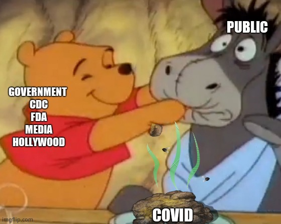 Fed up yet ? | PUBLIC; GOVERNMENT 
CDC
FDA
MEDIA
HOLLYWOOD; COVID | image tagged in memes,covid,government,cdc,msm,political meme | made w/ Imgflip meme maker