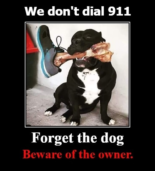 Forget the dog, beware of the owner. | image tagged in beware of dog,beware of owner,we dont dial 911,2nd amendment,gun rights,self defense | made w/ Imgflip meme maker