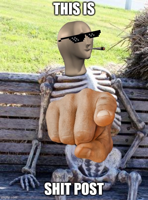 shit post | THIS IS; SHIT POST | image tagged in memes,waiting skeleton | made w/ Imgflip meme maker