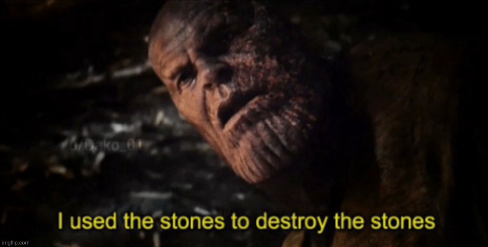 I used the stones to destroy the stones | image tagged in i used the stones to destroy the stones | made w/ Imgflip meme maker