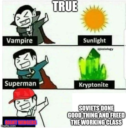 Weaknesses of things, and stuff | TRUE; SOVIETS DONE GOOD THING AND FREED THE WORKING CLASS; RIGHT WINGERS | image tagged in weaknesses of things and stuff | made w/ Imgflip meme maker