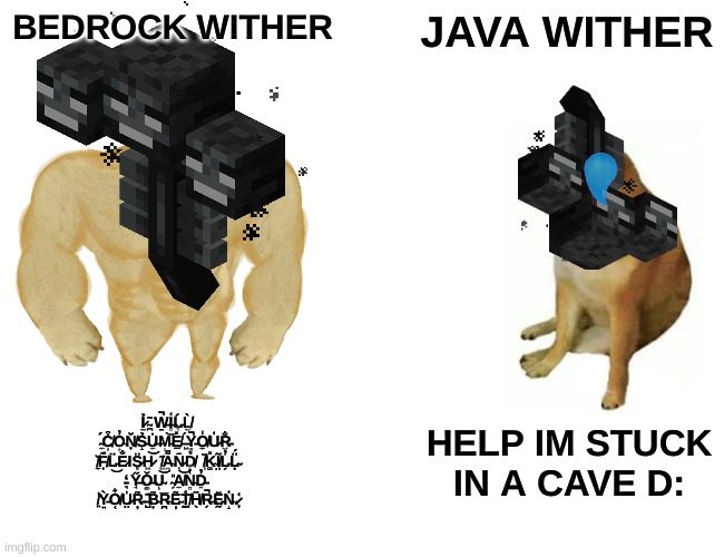 i tell the truth , the truth, and nothing but the truth. | BEDROCK WITHER; JAVA WITHER; Ỉ̷̱ ̴̪͂ W̵̱̚I̶̻͑Ĺ̵͉L̸̮̀  ̴̼́C̸̩͒O̴͙̓Ň̸̞S̵̝̉U̶̼̇M̵̩͝E̸̠̽ ̶͖́Y̵͓̚O̸̼̾U̷͑R̵̮̐  ̸̼̆F̸͎͊L̵̈͜E̷̐ΙS̷͓̈H̷͖͝  ̸̮͂A̴̯͌Ņ̷̄Ḑ̸̉  ̸̩̚K̴͚̽Ĩ̸̤L̵̗̓L̴̟̈́ ̵͉̒ Y̶̘̋Ǒ̶͚U̴̹͝  ̴̗̎A̸̼͝N̴̻̔D̵͍̓  ̸͍̾Ỳ̵͍O̸͔͋Ṳ̷̍R̵̦͂ ̶̺͊B̵̞͂R̴̪̅E̴̦͂T̸͇̊H̸̖͂R̶̗̚Ḛ̵̃N̴̝͑.̷̦͑; HELP IM STUCK IN A CAVE D: | image tagged in memes,buff doge vs cheems | made w/ Imgflip meme maker