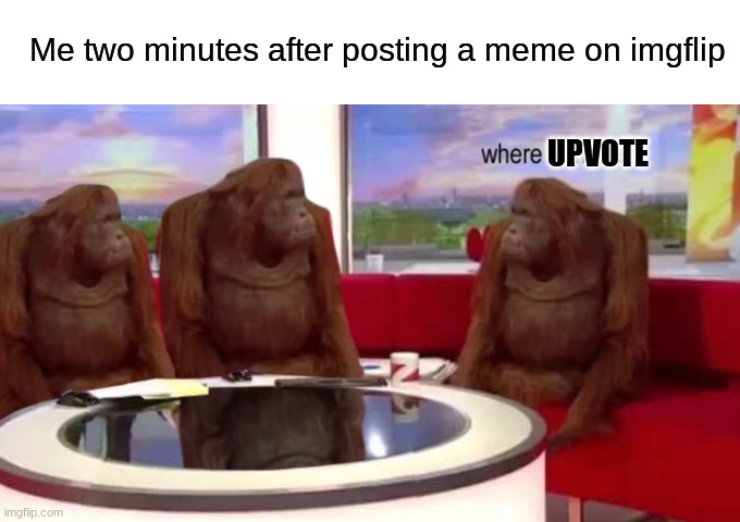 Where upvote. | Me two minutes after posting a meme on imgflip; UPVOTE | image tagged in where banana | made w/ Imgflip meme maker