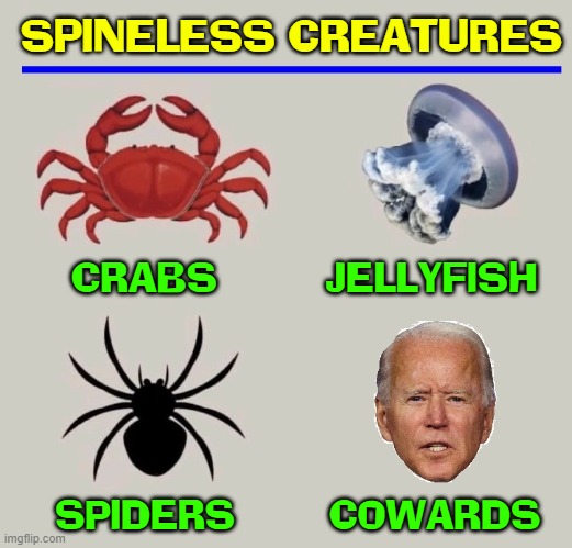 Should this meme be in the Politics or Science Stream? | SPINELESS CREATURES; CRABS         JELLYFISH; SPIDERS        COWARDS | image tagged in vince vance,spineless,corrupt,cowards,memes,creepy joe biden | made w/ Imgflip meme maker