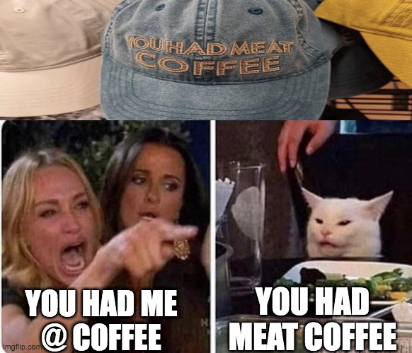 woman coffee cat | YOU HAD
MEAT COFFEE; YOU HAD ME
@ COFFEE | image tagged in lady screams at cat | made w/ Imgflip meme maker