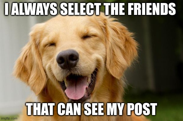 CS | I ALWAYS SELECT THE FRIENDS; THAT CAN SEE MY POST | image tagged in happy dog | made w/ Imgflip meme maker