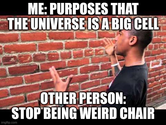 this realy happened | ME: PURPOSES THAT THE UNIVERSE IS A BIG CELL; OTHER PERSON: STOP BEING WEIRD CHAIR | image tagged in brick wall guy | made w/ Imgflip meme maker