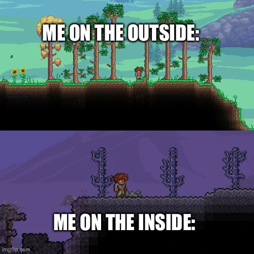 Conflict brewing | ME ON THE OUTSIDE:; ME ON THE INSIDE: | image tagged in terraria,video games,corruption | made w/ Imgflip meme maker