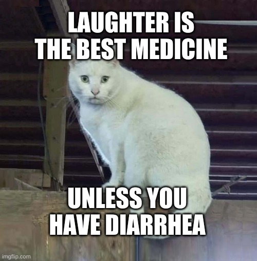 Don't Laugh! | LAUGHTER IS THE BEST MEDICINE; UNLESS YOU HAVE DIARRHEA | image tagged in i have to poop cat,laughter,medicine,diarrhea,grumpy cat,incontinence | made w/ Imgflip meme maker